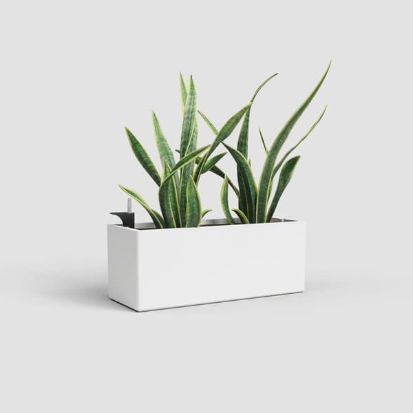 Rimini plantering - ARTEVASI - 20 x 51 x H 20 cm - 17 L - Vit