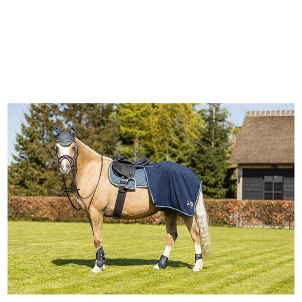 Skydd för hästens senor BR Equitation
