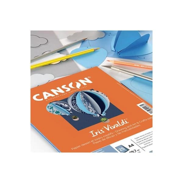 Canson konstpapper C32127S005 Flerfärgad