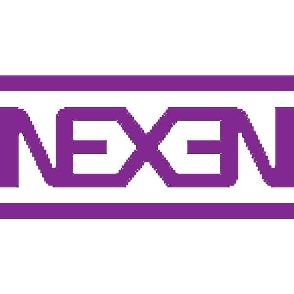 NEXEN WINGUARD SNOW G3 WH21 3PMSF M+S 165/65 14 79T - Vinterdäck