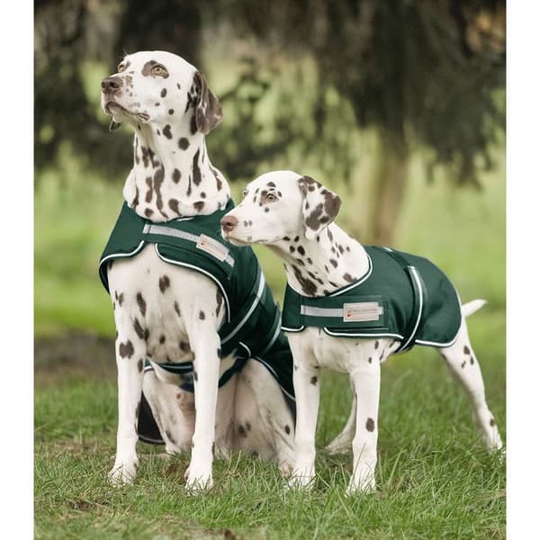 Vattentät hundjacka Waldhausen - 35 cm