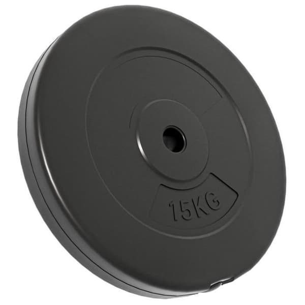 93598 vidaXL Viktskivor 2 st 30 kg Betong