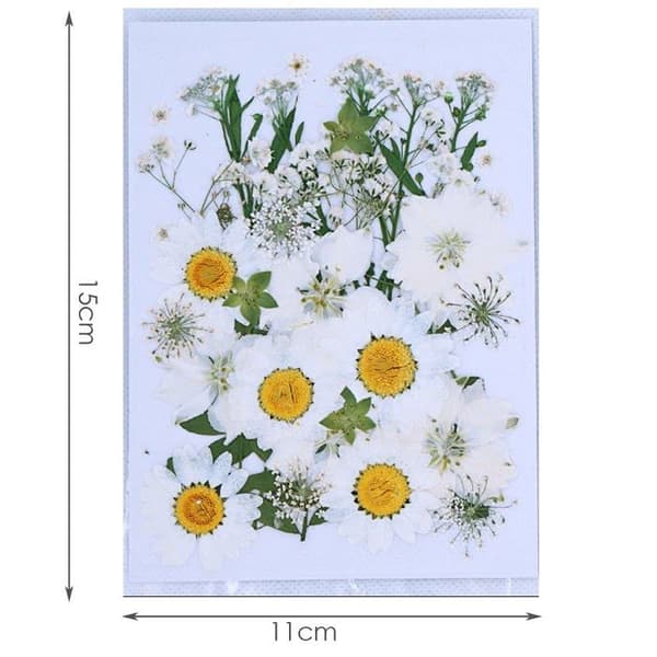 Faux-blommor - torkad blomma Cenpek - PL-0402