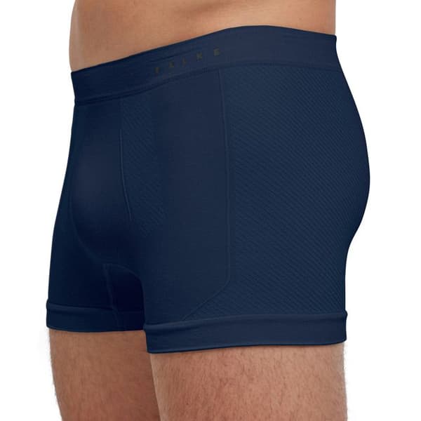 Boxer Falke