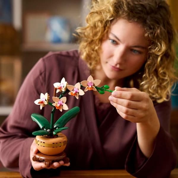 LEGO Botanicals 10343 Miniorkidé - Konstgjorda blommor - Presentidé