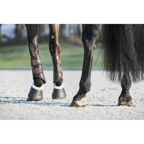 Glitterande hästskydd HorseGuard Leela - Brun - S
