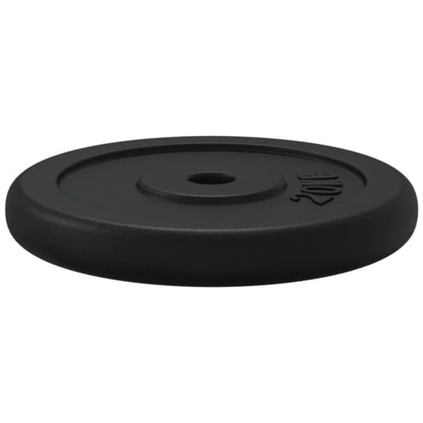 93643 vidaXL Viktplatta 20 kg Gjutjärn