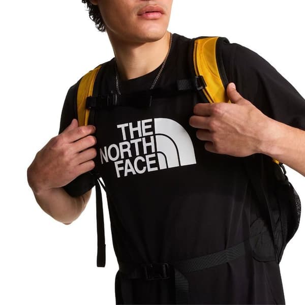 The North Face T-shirt Evolution Half Dome Svart - NF0A8B6JKY4