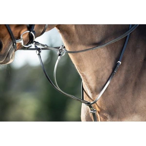 Martingal med pil HFI - Svart - Cob