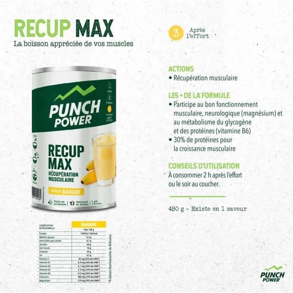 Punch Power Recup Max Banana 480g