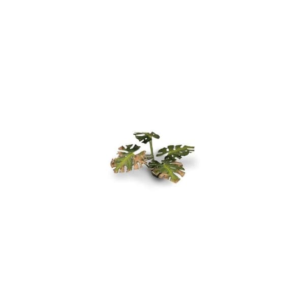 Gamers Grass Laser Växter Monstera