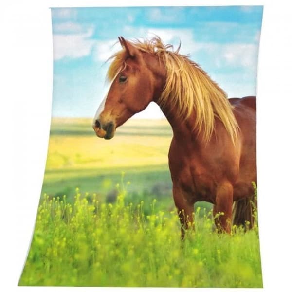 Rutig - Häst - Flera färger - 130x160 cm - Polyester - Rektangulär