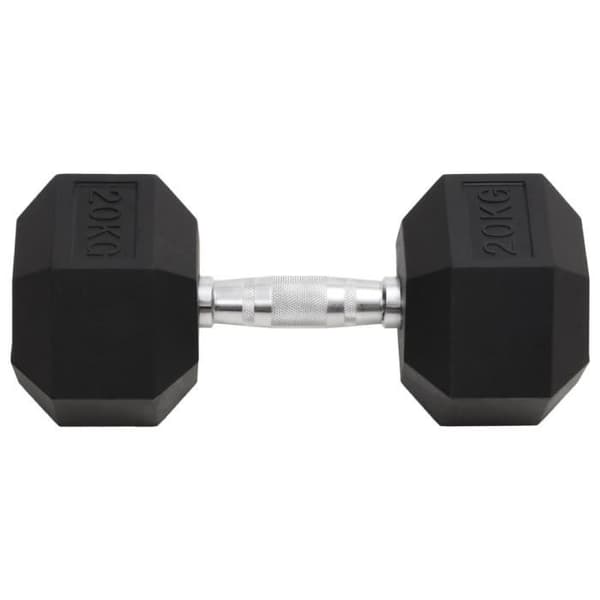 93608 vidaXL Hantel 20 kg Gjutjärn