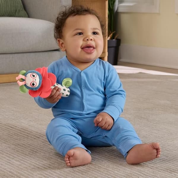 Fisher-Price Shake & Hochet Busy Bee
