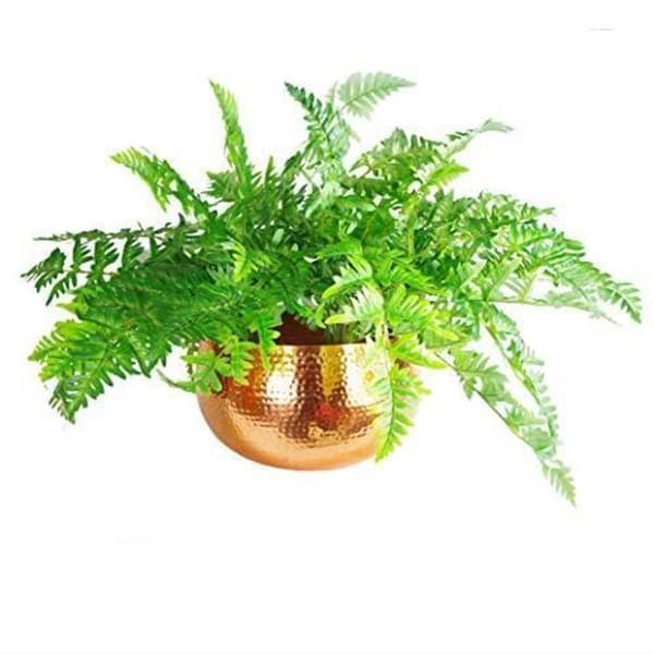 Planteringskärl - LEAF - LEAF-7304 - Hammad metall - Koppar - 30 x 20 cm