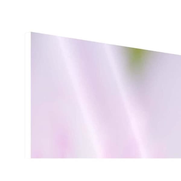 XXL Lily Forex Print 120 x 80 cm