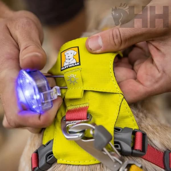 Säkerhetsbelysning för hund Ruffwear Beacon