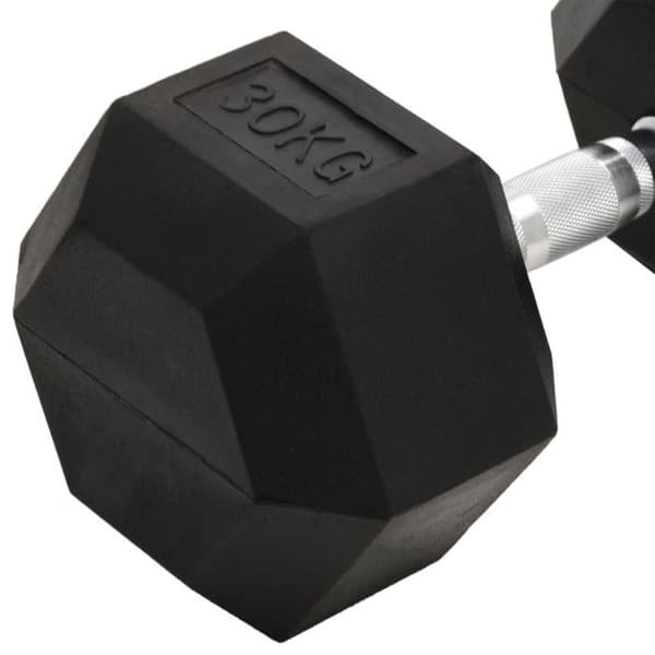 Hantel 30 kg Gjutjärn