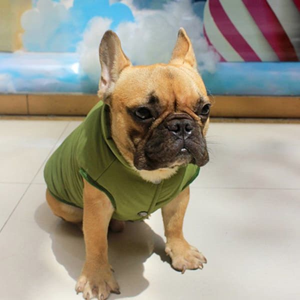 Pull - gilet Meioro - 1