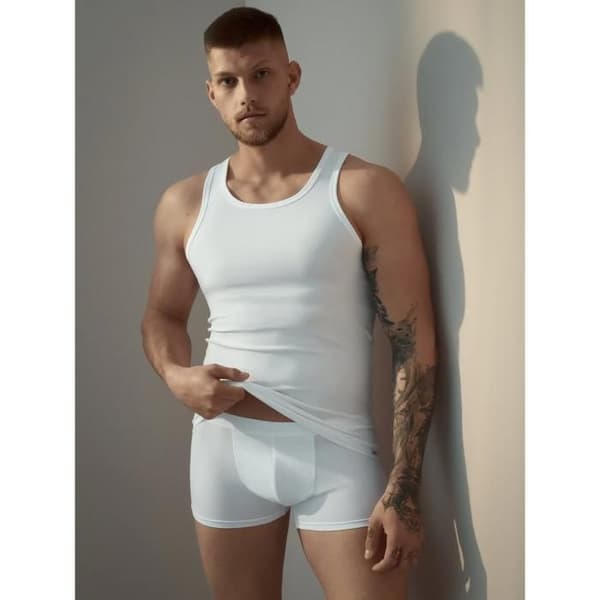 Boxer Lisca Hermes (x2)