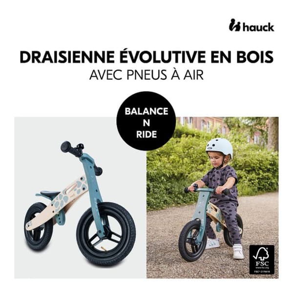 Draisienne Balance N Ride Sköldpadda