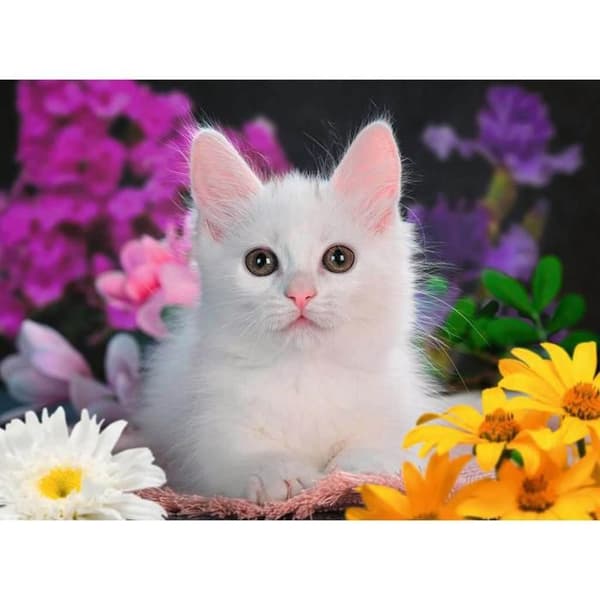 Pussel 100 bitar XXL: Glittrande katt (Glitterkollektion)