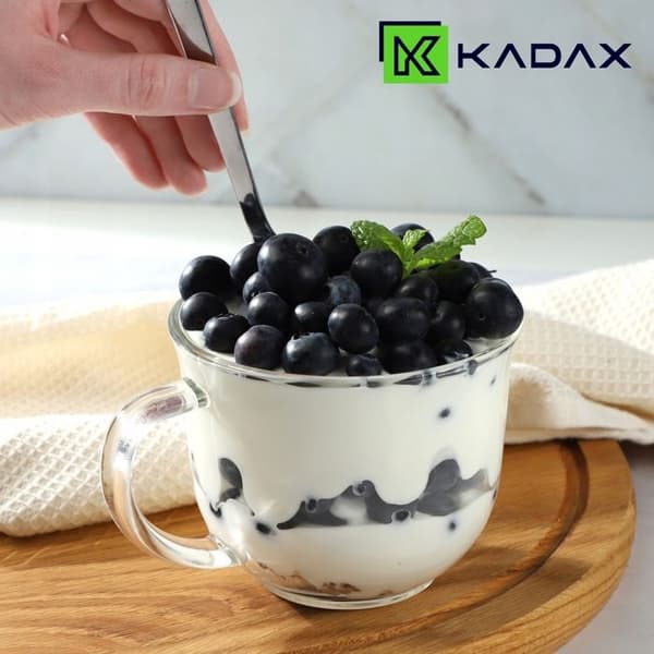 KADAX 6x Te- och kaffeglas 480ml Glas-set med handtag