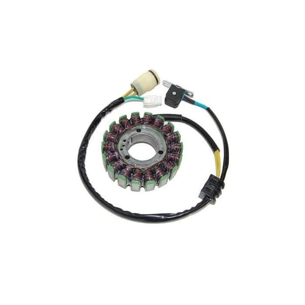 Anpassningsbar generator original YAMAHA ELECTROSPORT