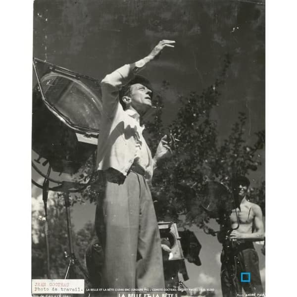 Skönheten och odjuret DVD