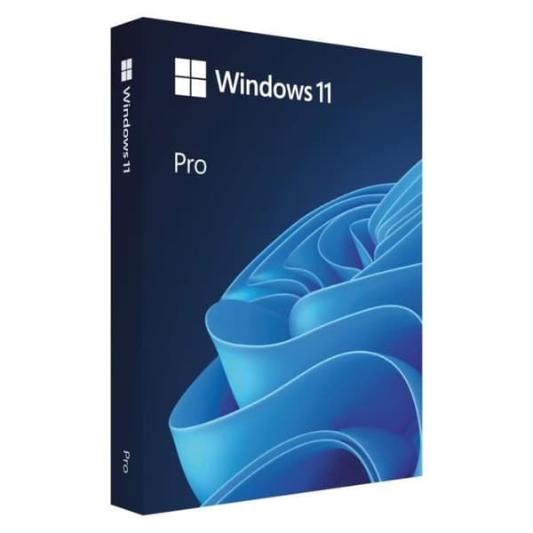 Microsoft Windows 11 Professional BOX USB PL - HAV-00209