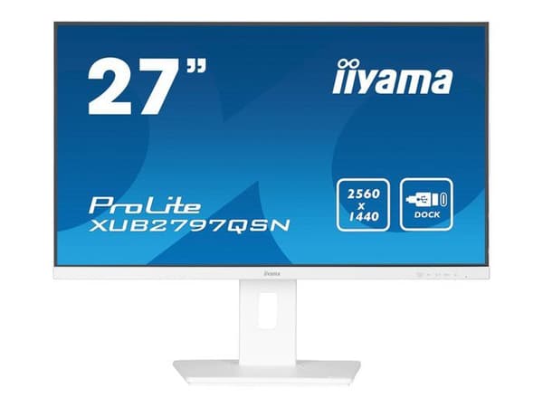 IIYAMA Namn: iiyama G-MASTER X