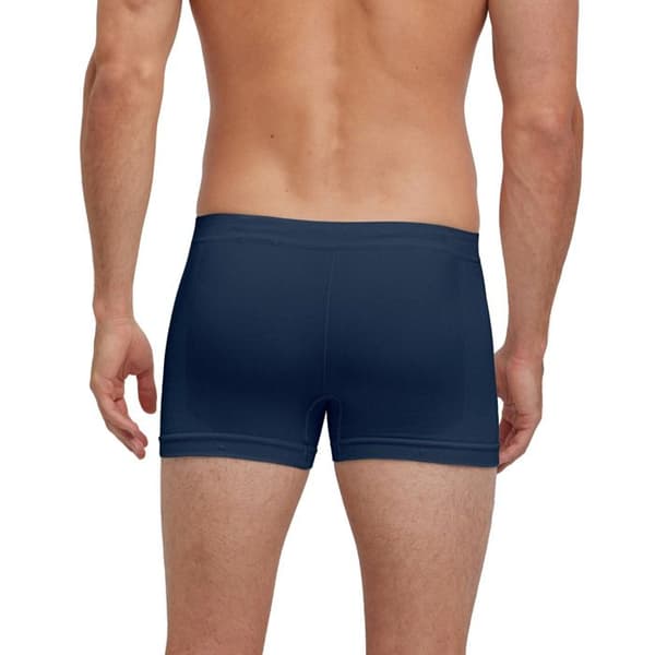 Boxer Falke