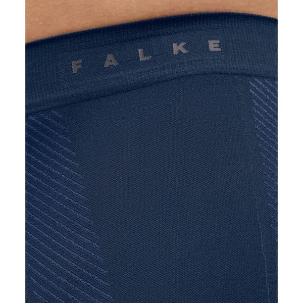 Boxer Falke
