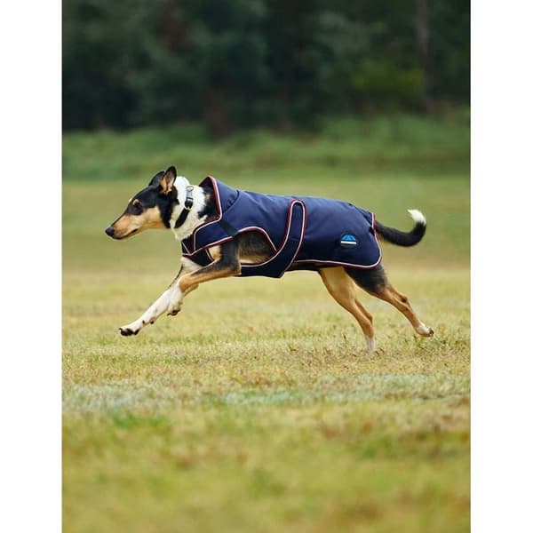 Hundmantel Weatherbeeta Comfitec Premier Deluxe - Blå - 35 cm