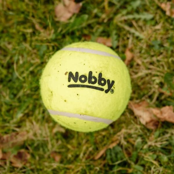 Nobby 60484 Tennisboll