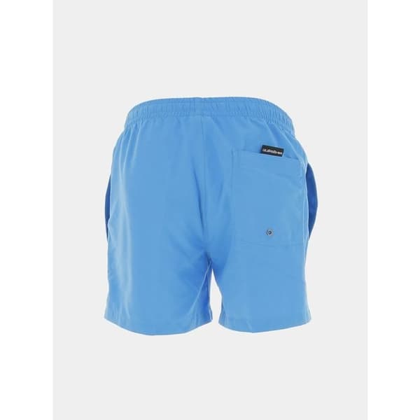 Shorts för bad Everyday 15 jamv - Quiksilver