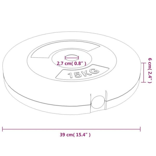 93598 vidaXL Viktskivor 2 st 30 kg Betong