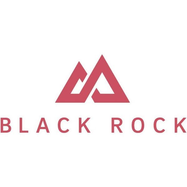 Black Rock 360° Glaskåpa Apple iPhone 13 Mini silver 1160TGC08