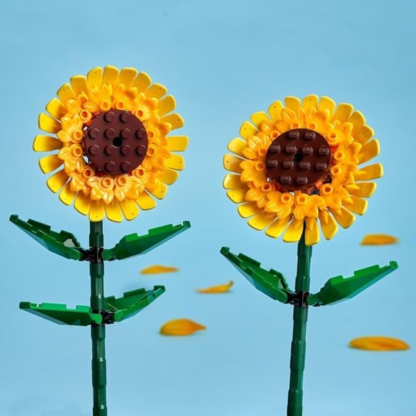 40524 Solrosor ® Botanicals