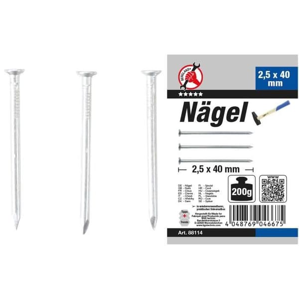 SORTIMENT AV NAGLAR | 200G | 2,5 X 40 MM BGS DIY 88114