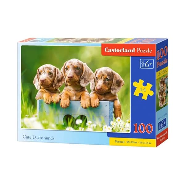 Pussel 100 bitar: Söt dachshundar