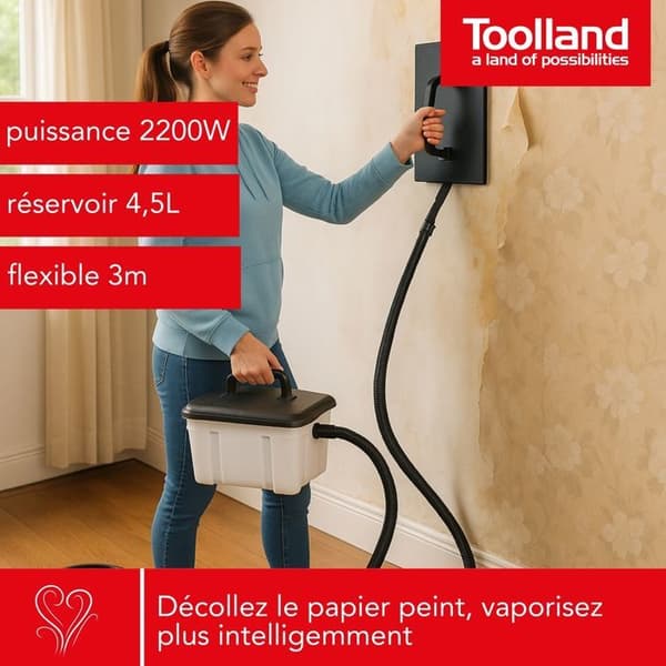 TAPETSTRIPPER
