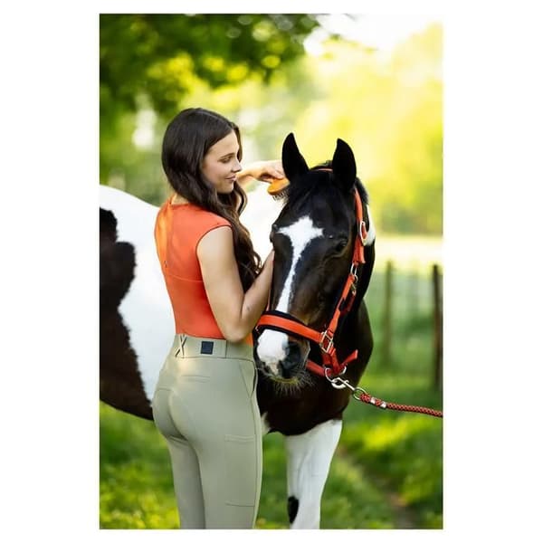 Damlinne BR Ridsport Klaske