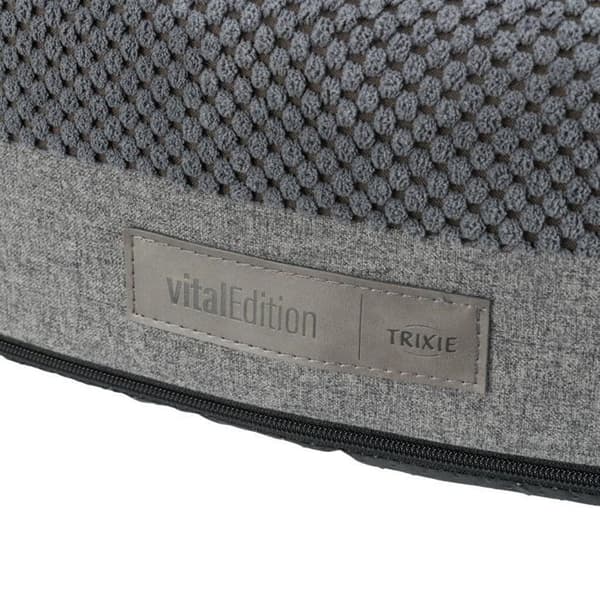 Vital Eliano Korg