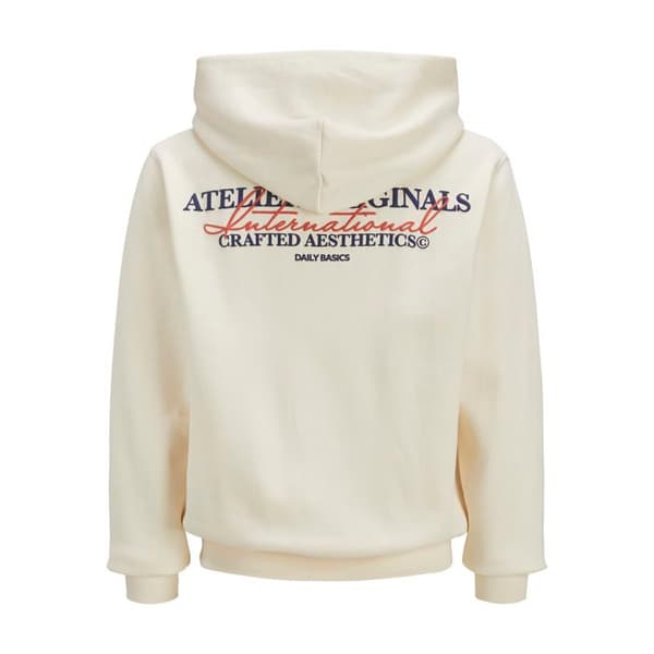 Jack & Jones Islington hoodie