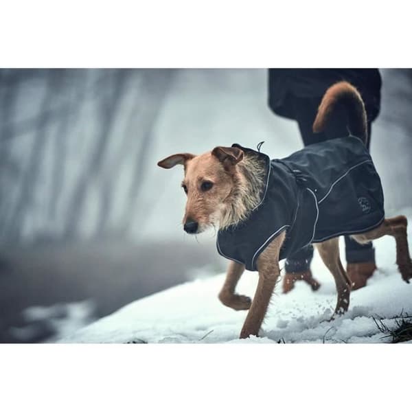 Hunter Uppsala Softshell - Hundjacka 40 cm, svart