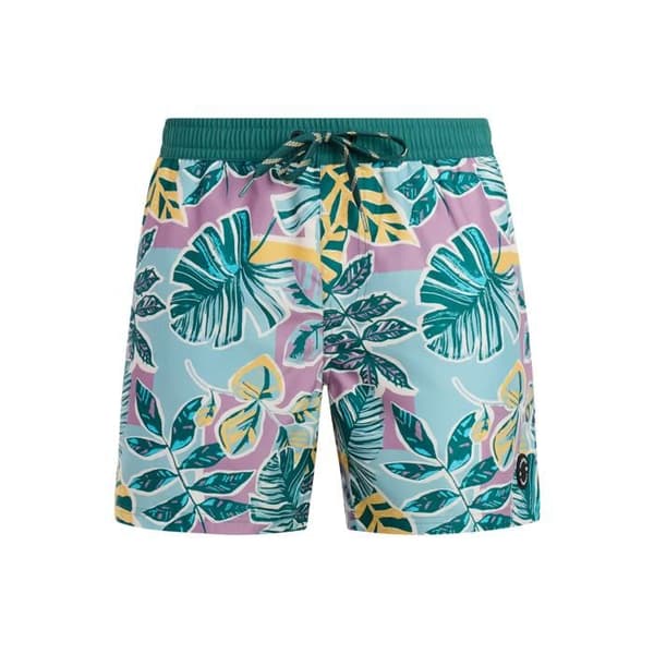 Protest Rayger badshorts