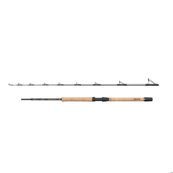 Canne båt Penn Regiment IV Pro 30-50lb (x2)