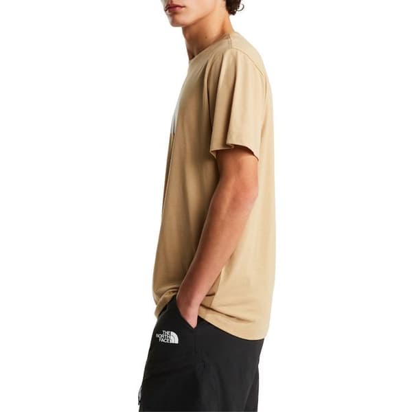 The North Face T-shirt Evolution Half Dome Beige - NF0A8B6JLK5