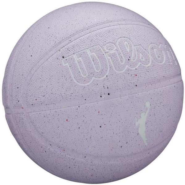Wilson NBA Heir damboll